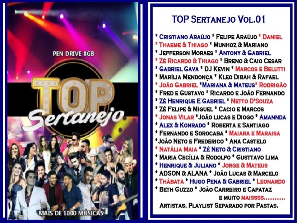 1404 - Pen Drive (Music) - Top Sertanejo Vol.01